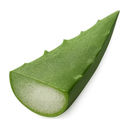 aloe vera cut FiveM inventory icon