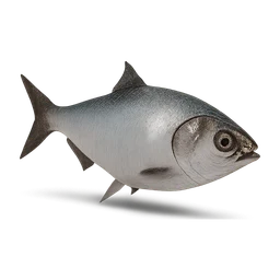 americanshad FiveM inventory icon