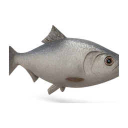 americanshad FiveM inventory icon