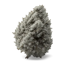 blue_dream_weed FiveM inventory icon