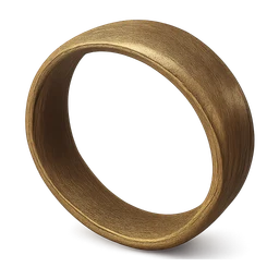 bracelet FiveM inventory icon