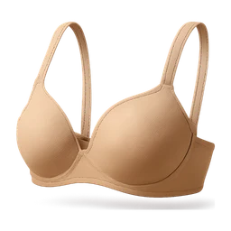 brassiere FiveM inventory icon