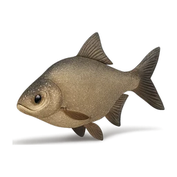 bream FiveM inventory icon