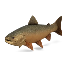bulltrout FiveM inventory icon