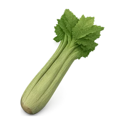 celery FiveM inventory icon