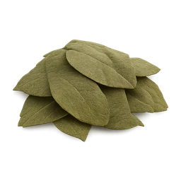 Coca Leaves FiveM inventory icon