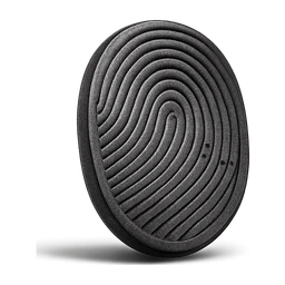 finger print FiveM inventory icon