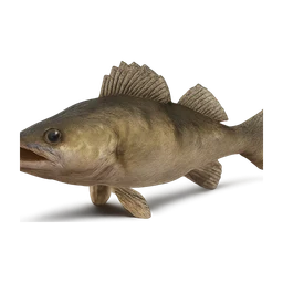 fish zander FiveM inventory icon