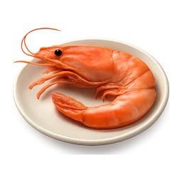 fresh shrimp on a small plate FiveM inventory icon
