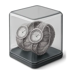 Glass watch case, with multiple diamond watches inside FiveM inventory icon