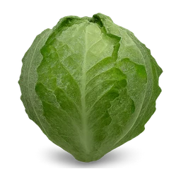 ingredients lettuce FiveM inventory icon
