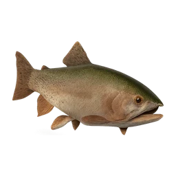 lahontantrout FiveM inventory icon