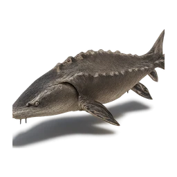 lakesturgeon FiveM inventory icon