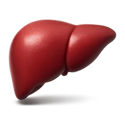 livert FiveM inventory icon