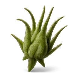 marihua pistil FiveM inventory icon