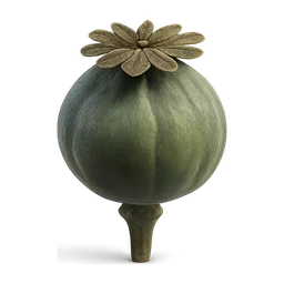 mohn FiveM inventory icon