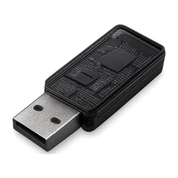 New black transparent usb with motherboard showing dark FiveM inventory icon