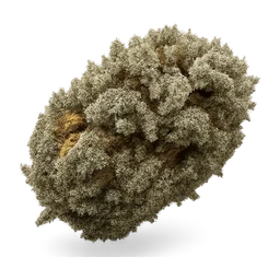 og_kush_weed FiveM inventory icon