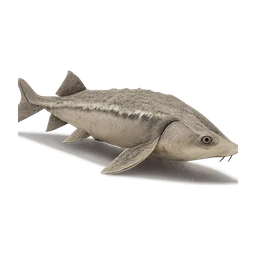 palidsturgeon FiveM inventory icon