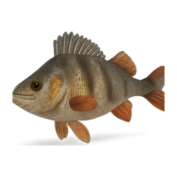perch fish FiveM inventory icon