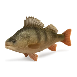 perch fish FiveM inventory icon