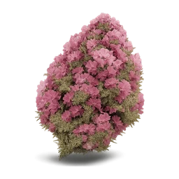 pink kush png FiveM inventory icon