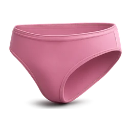 pink panties FiveM inventory icon