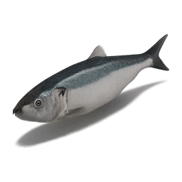 sardine FiveM inventory icon