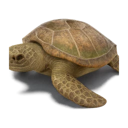 sea turtle FiveM inventory icon