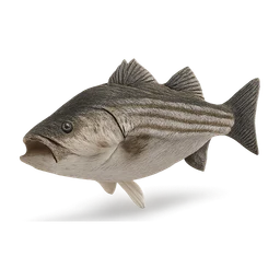 strippedbass fish FiveM inventory icon