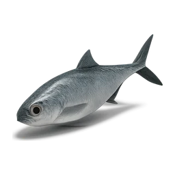 tailfish FiveM inventory icon