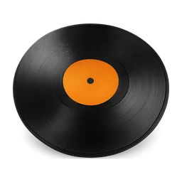vinyl FiveM inventory icon
