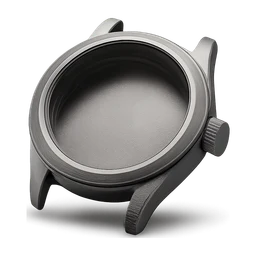 watch case FiveM inventory icon