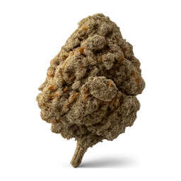 weed amnesia FiveM inventory icon
