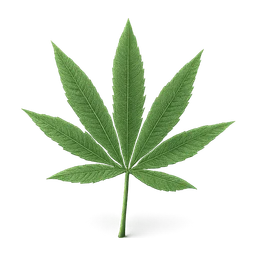 weed FiveM inventory icon