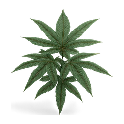 weed plant FiveM inventory icon