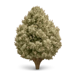 weed whitewidow FiveM inventory icon