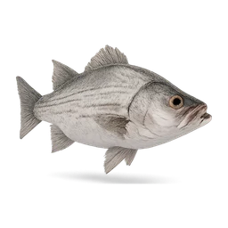 whitebass FiveM inventory icon