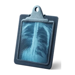 xray clipboard FiveM inventory icon