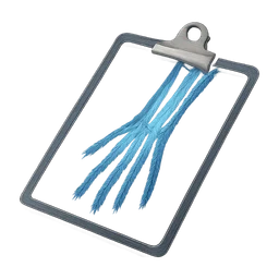 Xray_clipboard_arm FiveM inventory icon