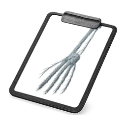 xray_clipboard_arm FiveM inventory icon