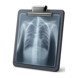 Xray_clipboard2 FiveM inventory icon